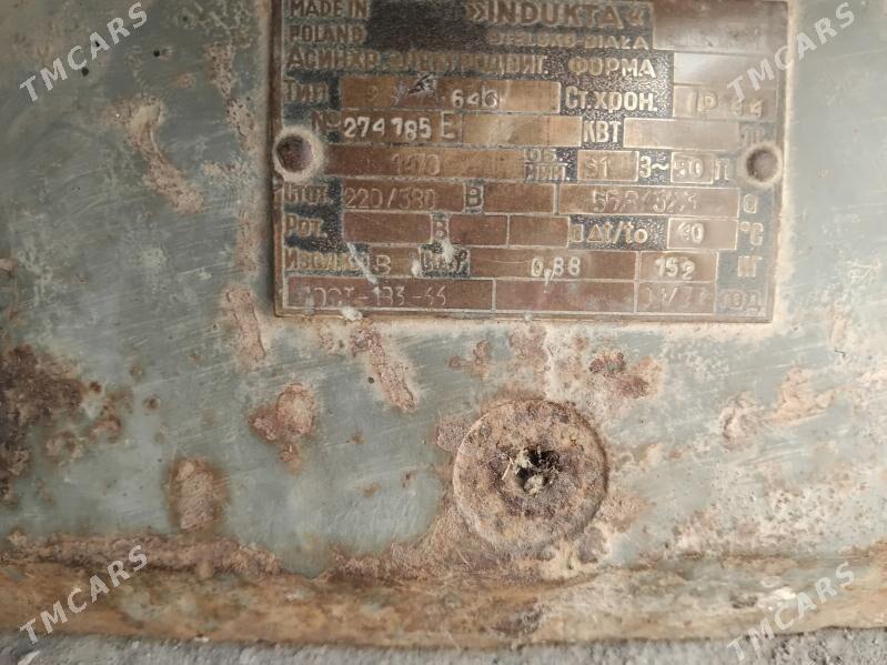 ELEKTRON MATOR - Мары - img 5