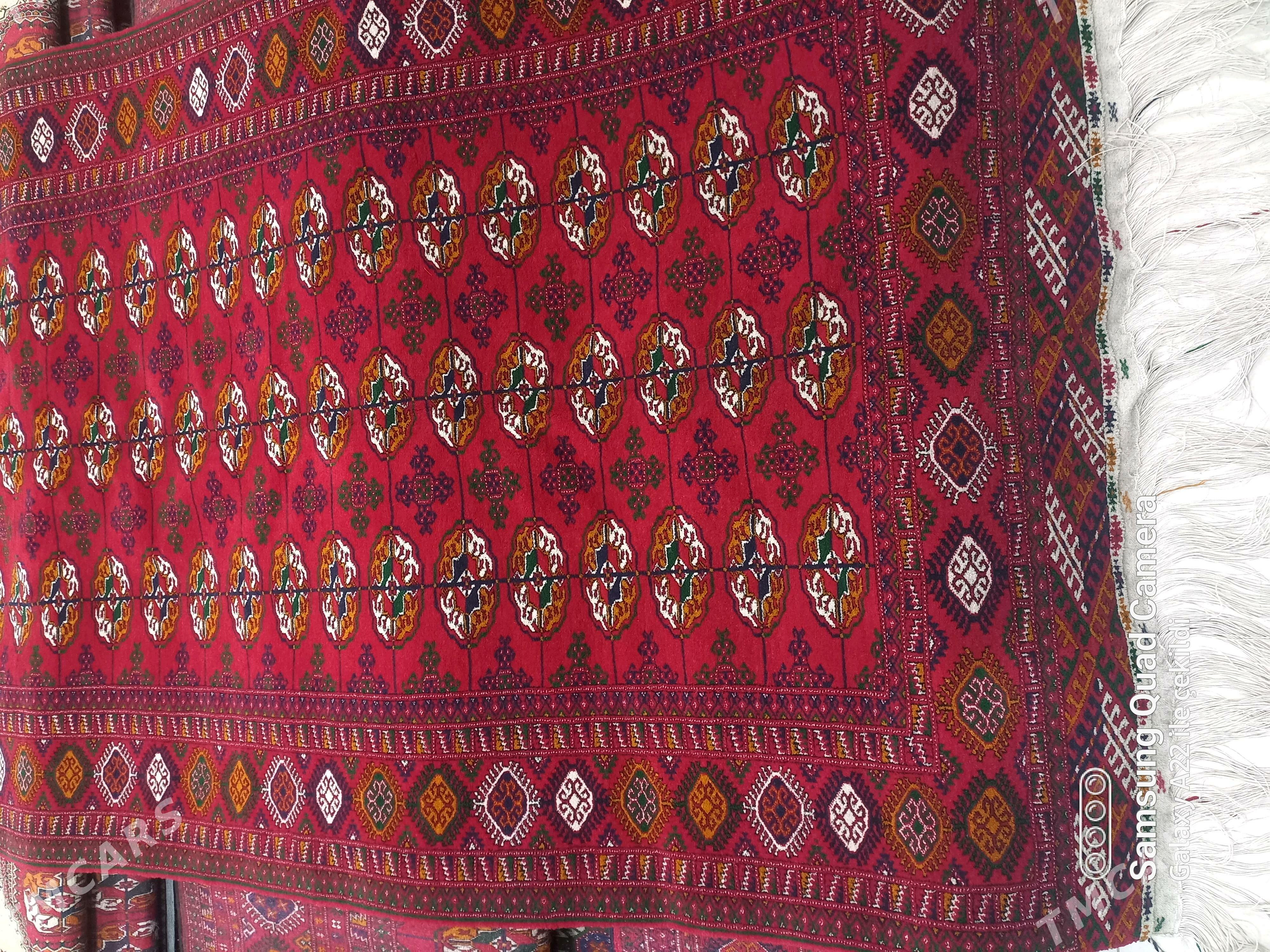 el haly 1,45/ 2,45 - Ашхабад - img 3