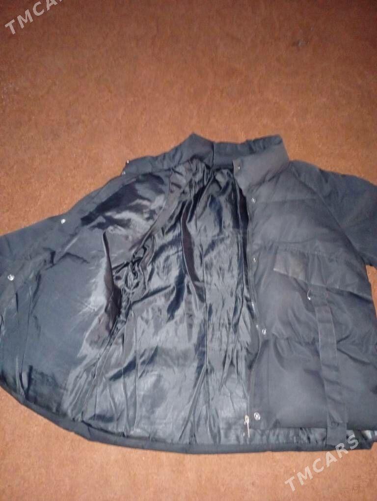 kurtga gyzyňky. - Daşoguz - img 2