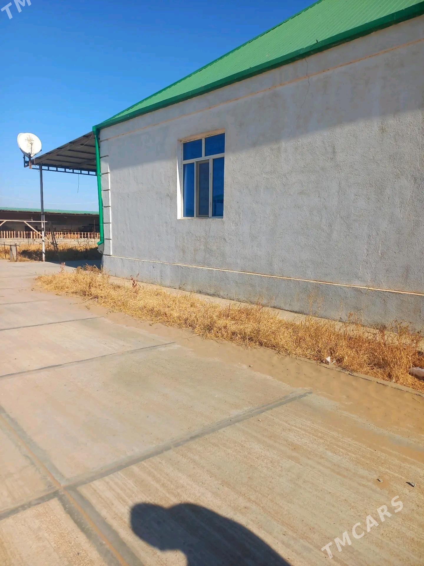 Satlyk Plan jaý Öñaldy - Ашхабад - img 9