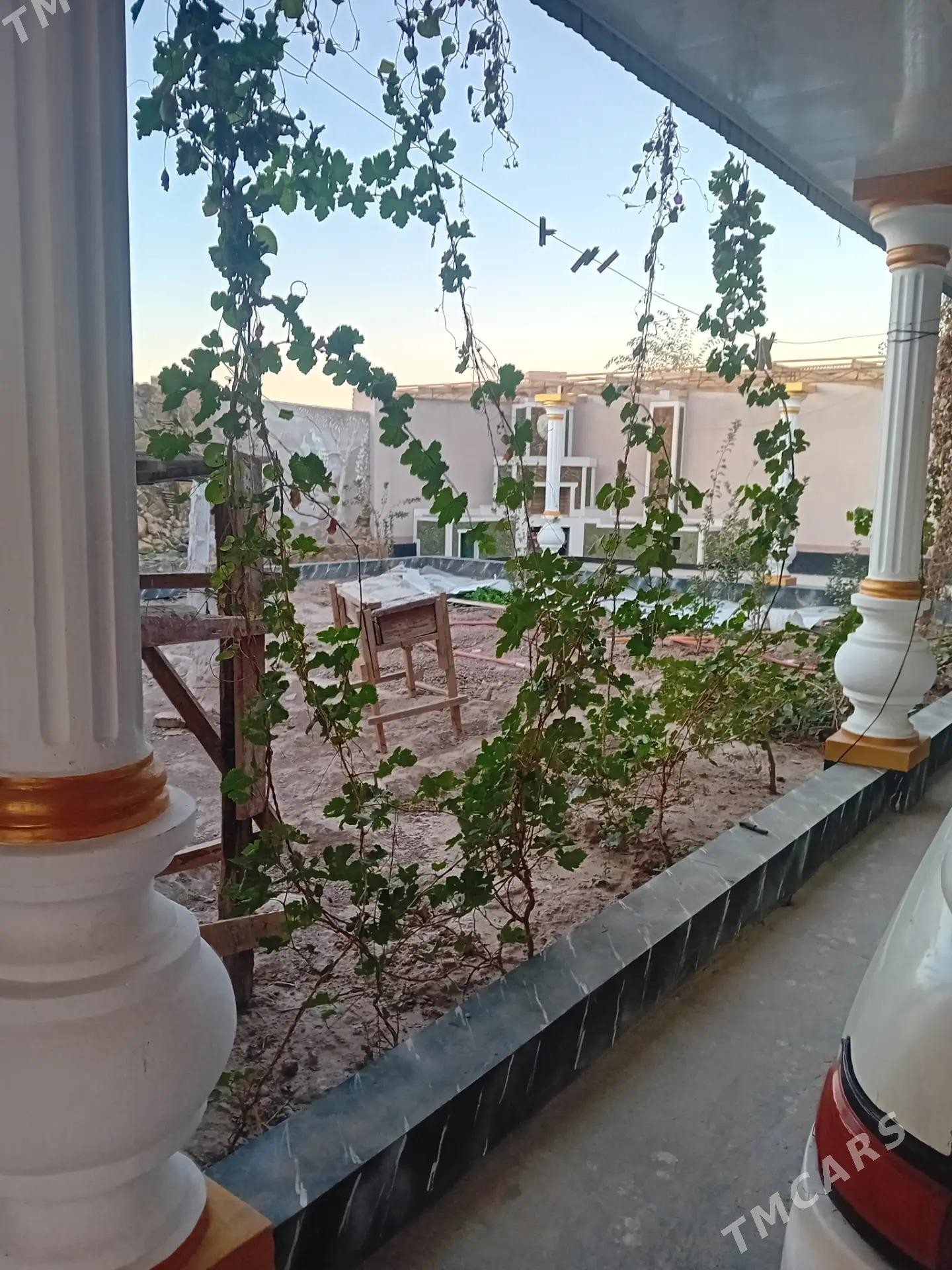 plan jay - Türkmenabat - img 2