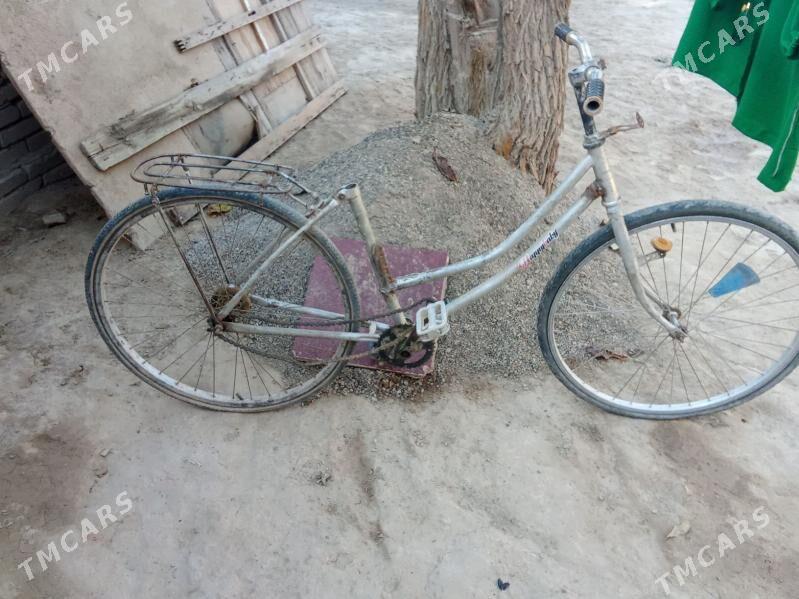 welsapet - Wekilbazar - img 1