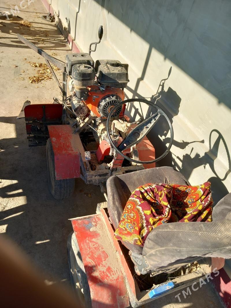 Gowuş Bugday Şaly Oryan Źatga - Görogly (Tagta) - img 2