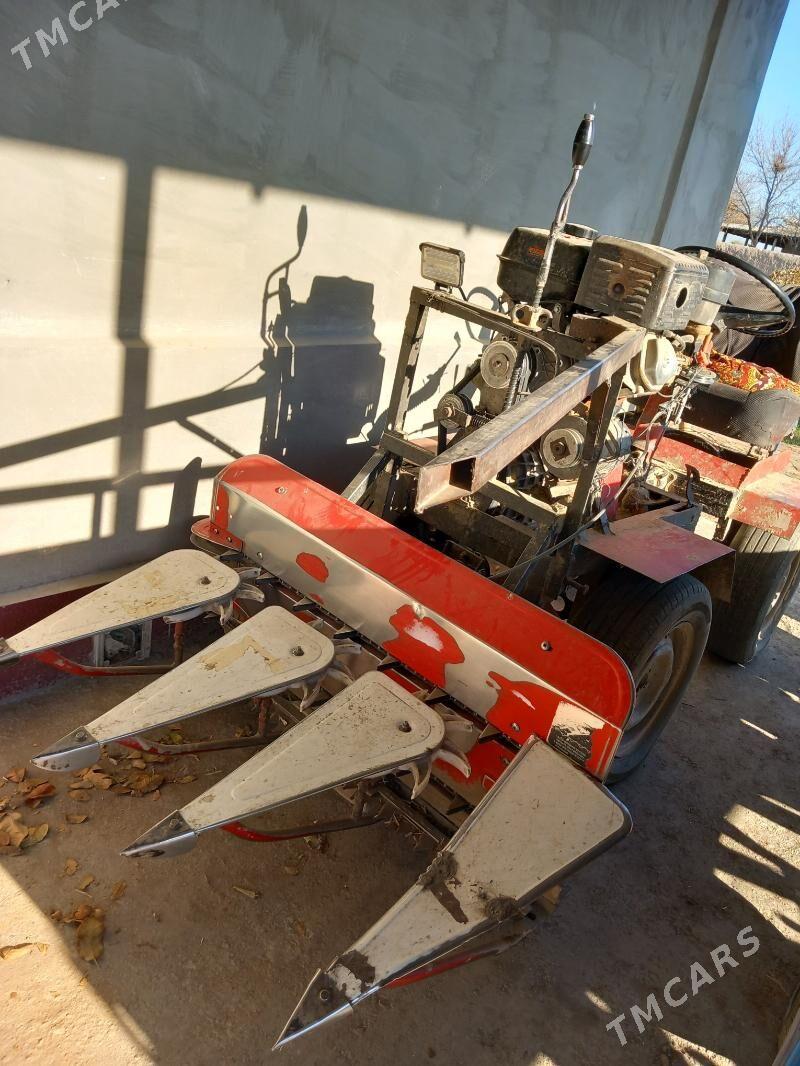 Gowuş Bugday Şaly Oryan Źatga - Görogly (Tagta) - img 4