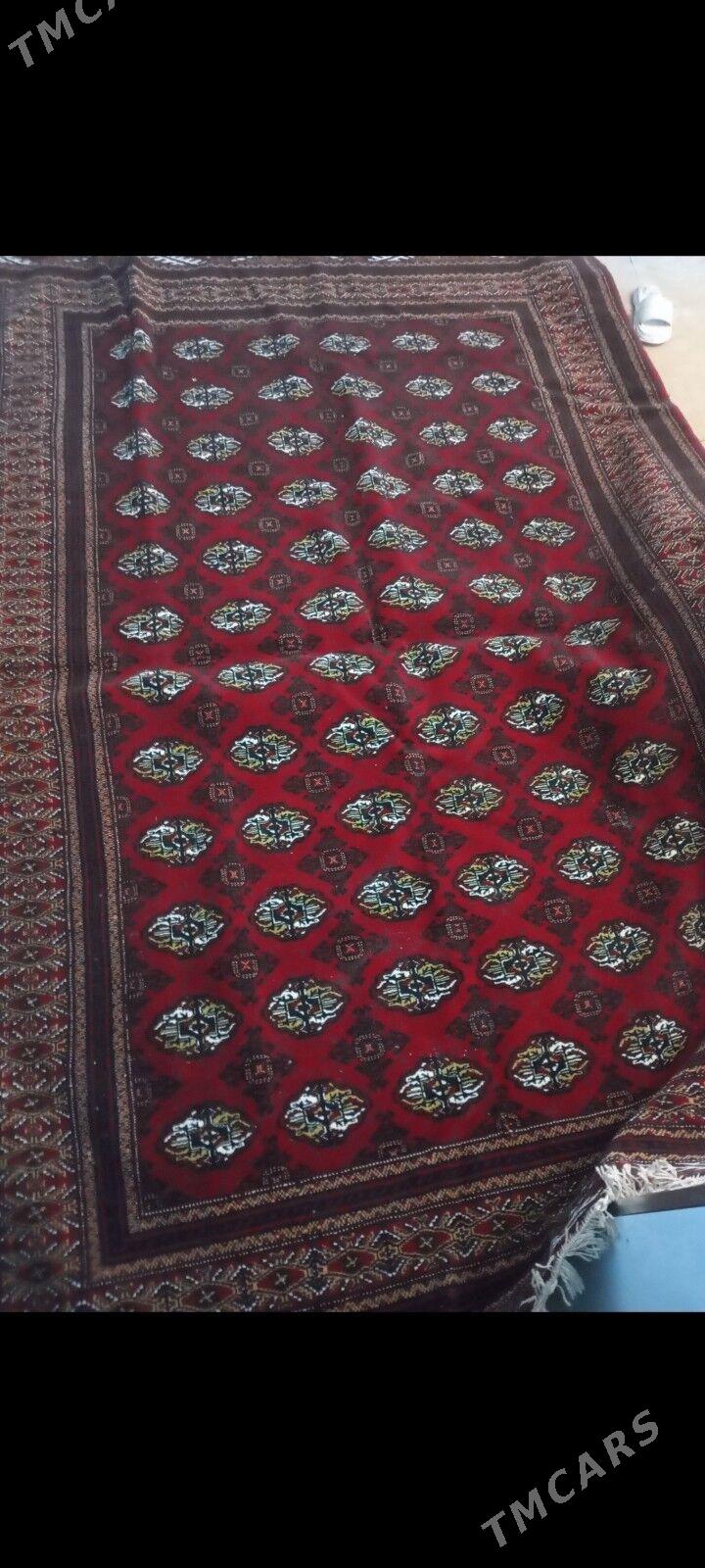 Eyran Haly - Parahat 7 - img 2