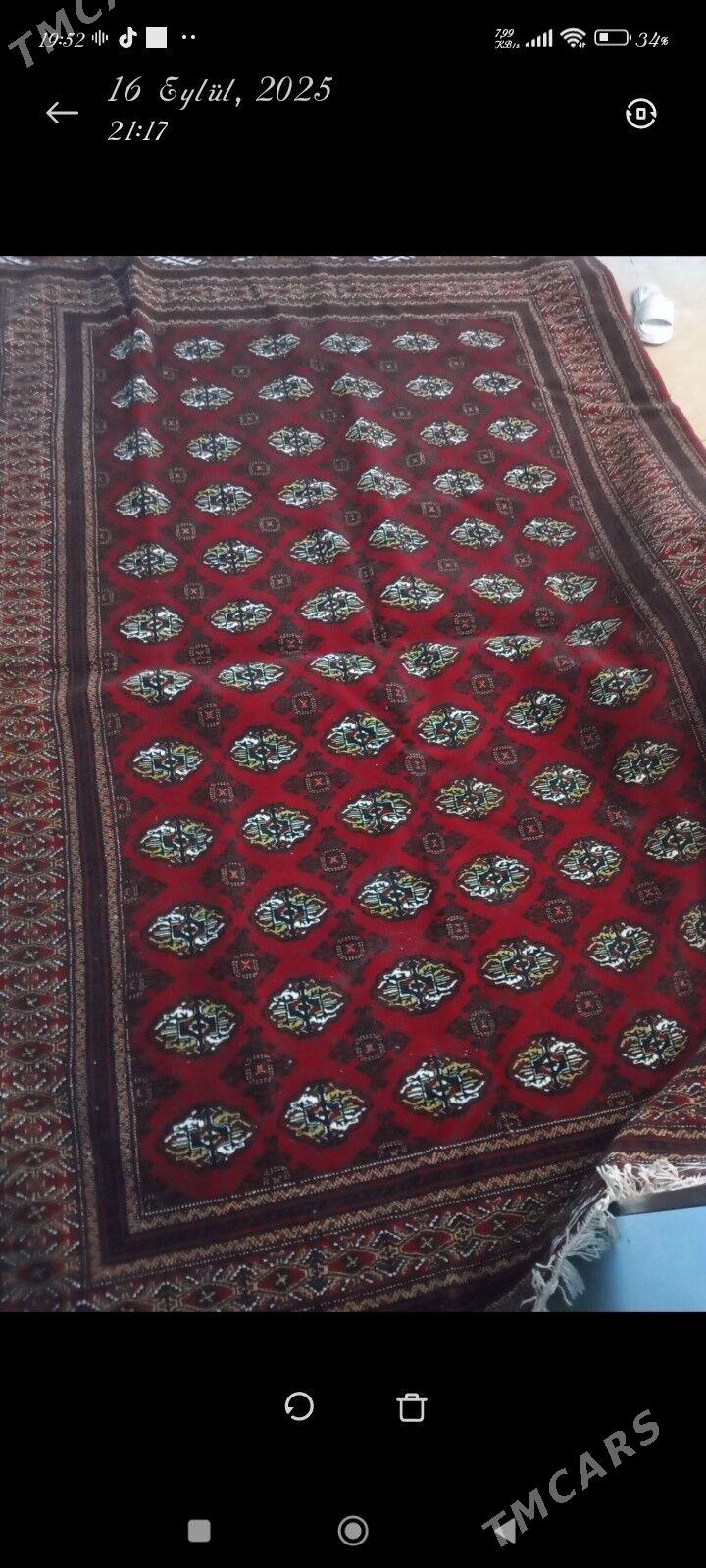 Eyran Haly - Parahat 7 - img 1