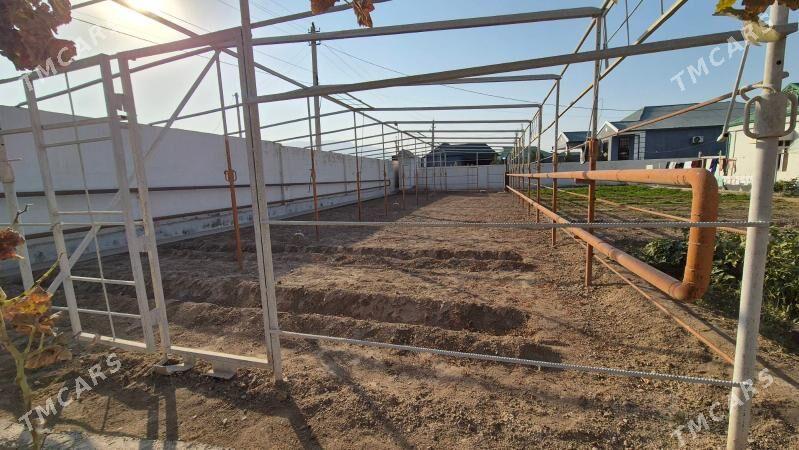 Teplica Parnik - Büzmeýin - img 6