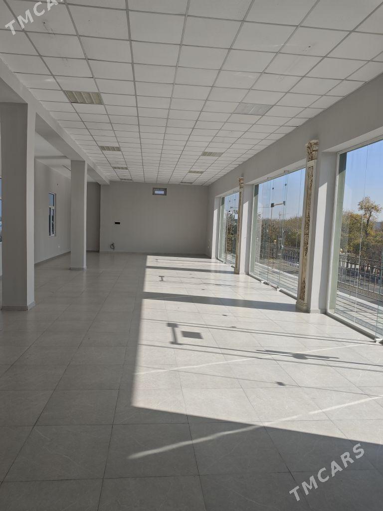 Arenda ýer - Mary - img 4