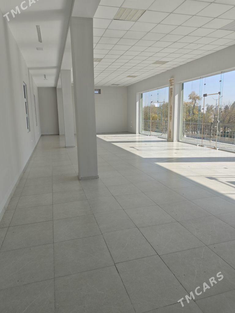 Arenda ýer - Mary - img 3