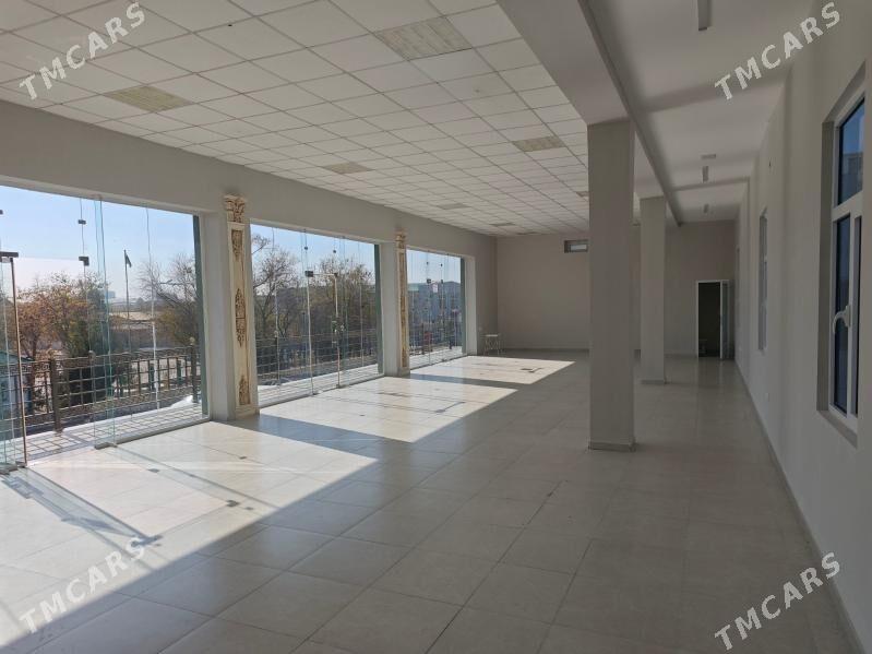 Arenda ýer - Mary - img 9