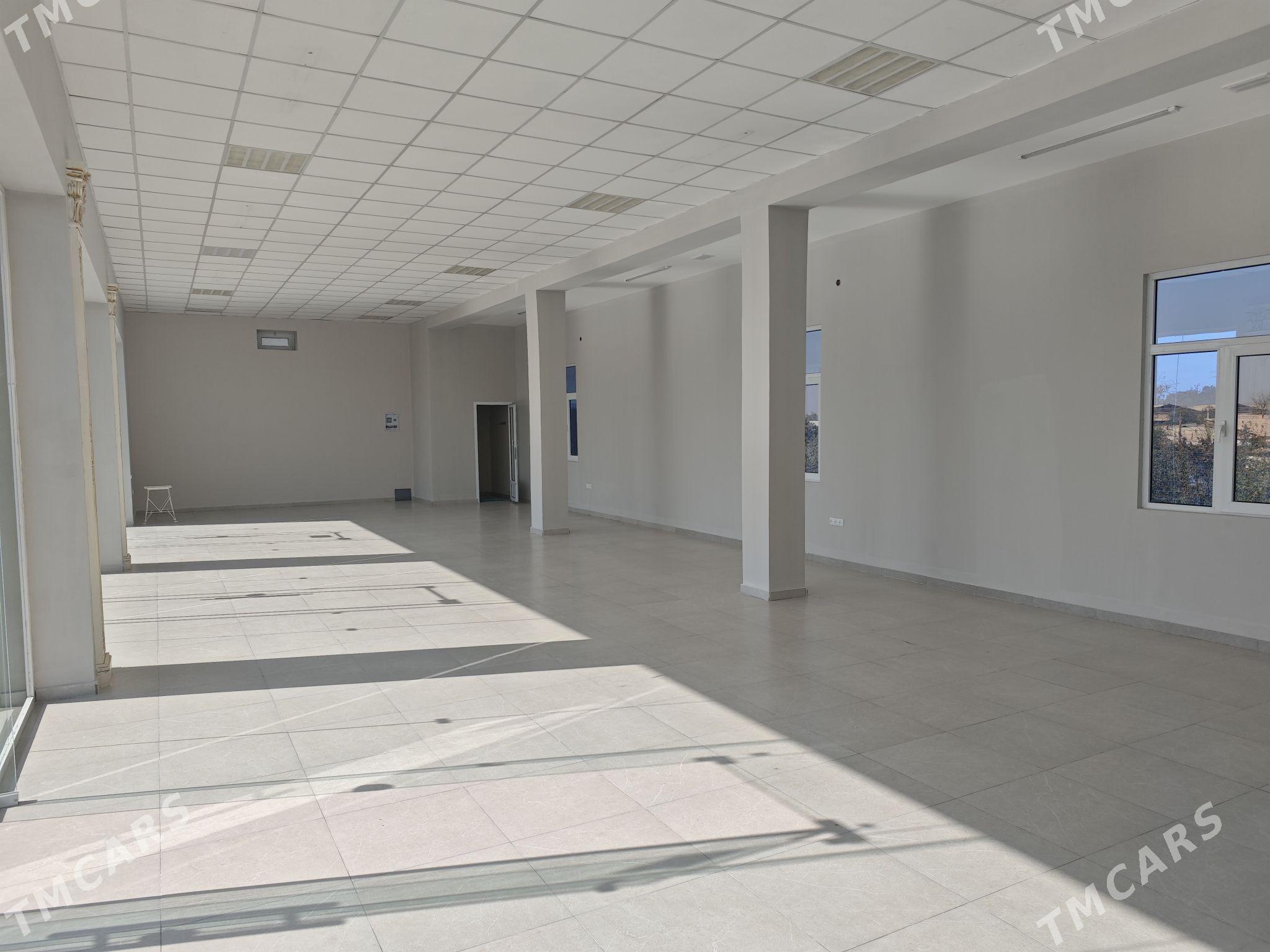 Arenda ýer - Mary - img 8