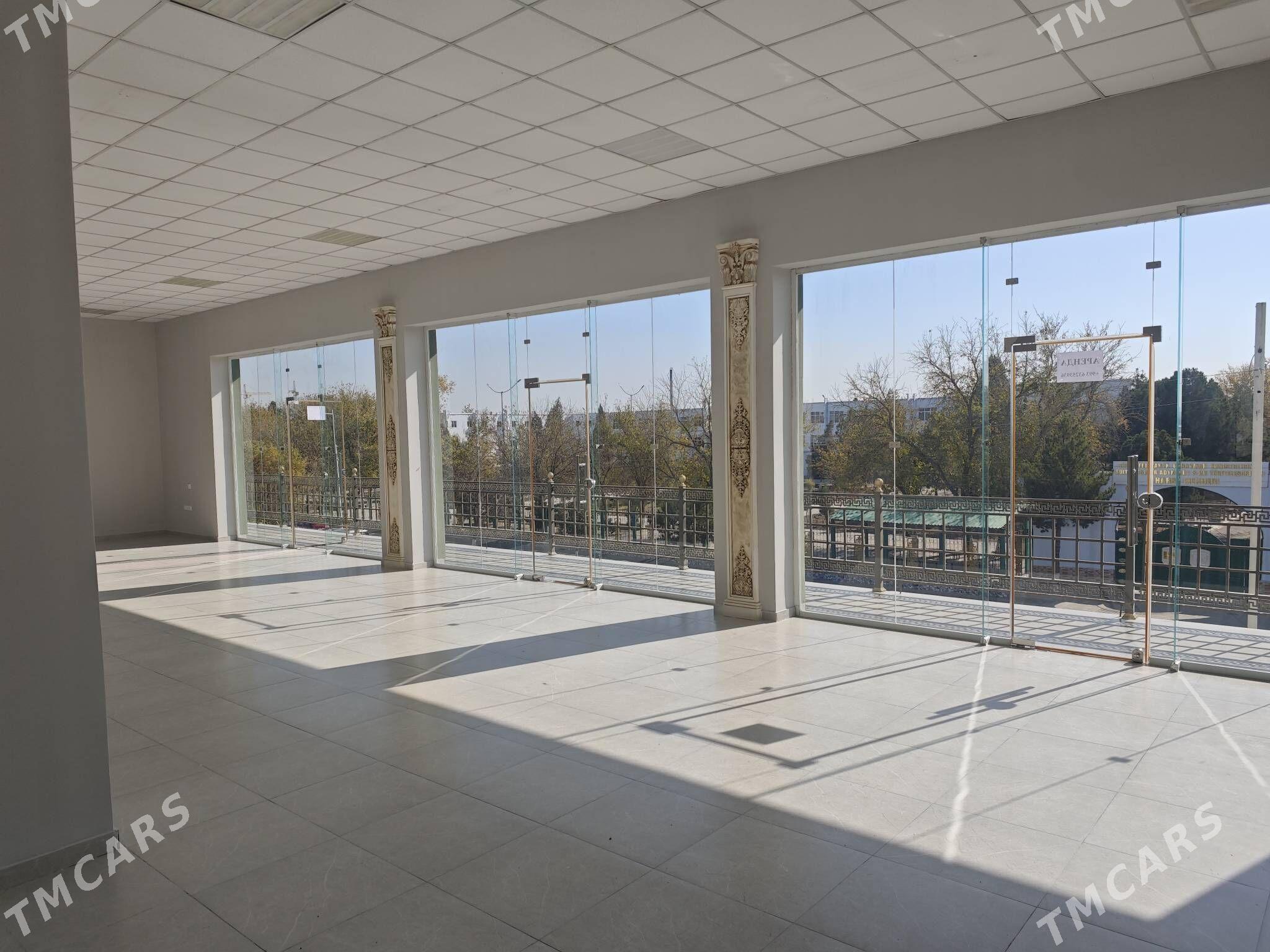 Arenda ýer - Mary - img 6