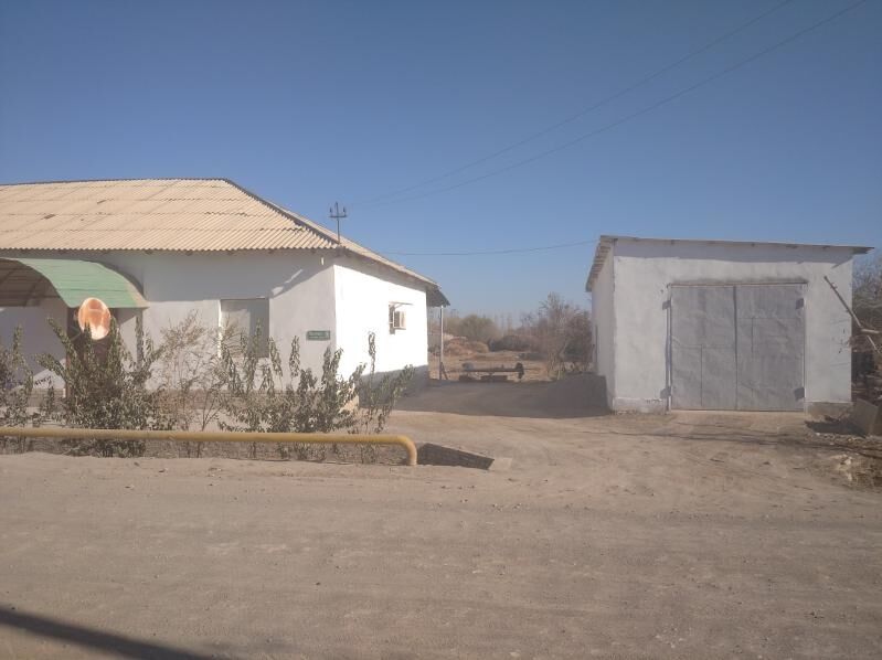 satlyk jay - Болдумсаз - img 1