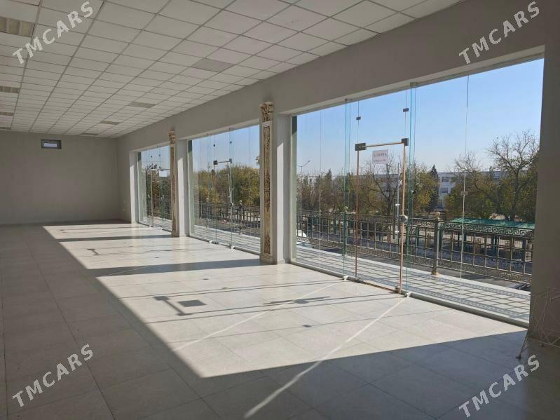 Arenda ýer - Mary - img 5