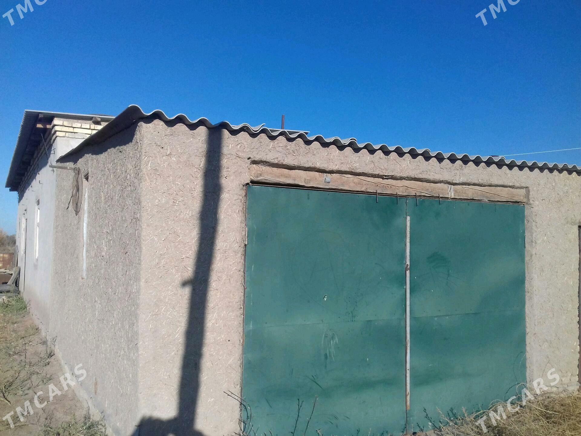 satlyk jay - Gurbansoltan Eje - img 6