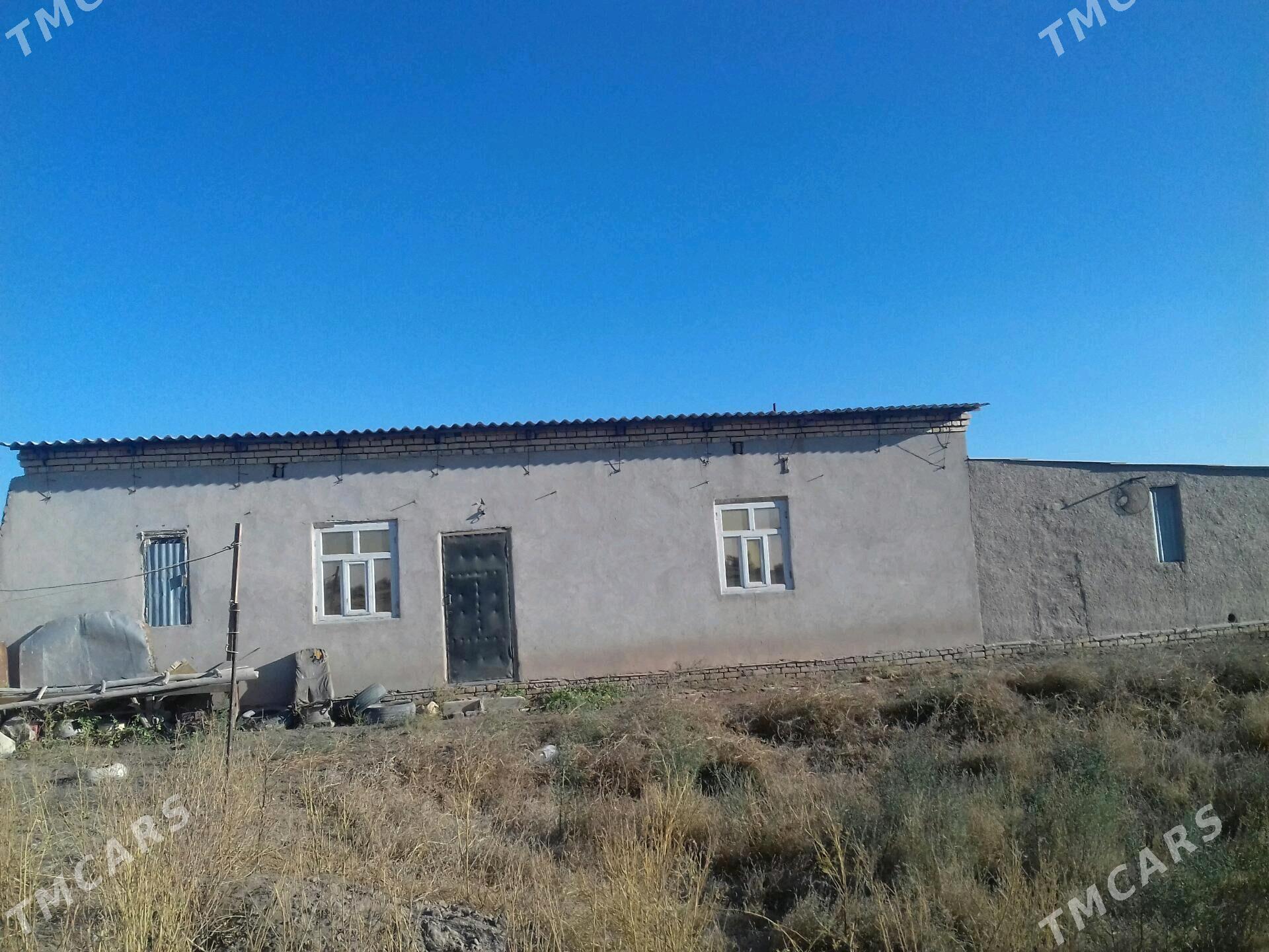 satlyk jay - Gurbansoltan Eje - img 1