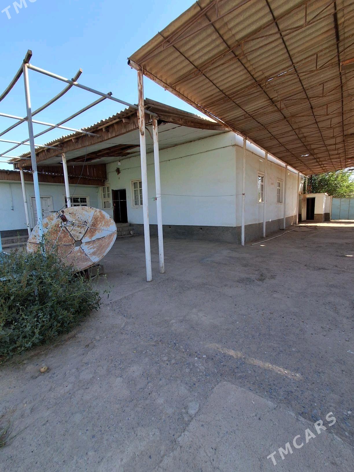 kwartira - Tejen - img 4