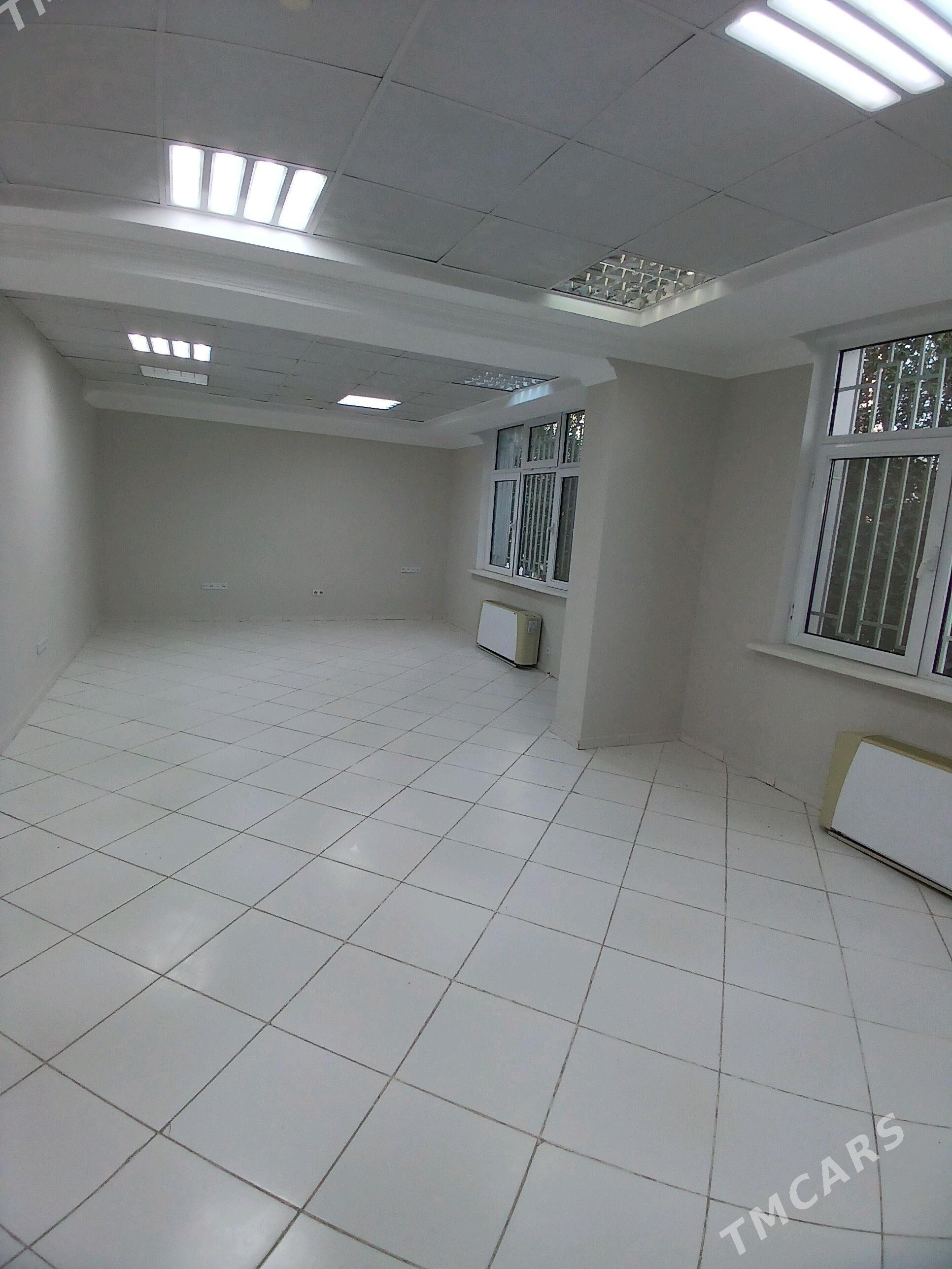 Arenda ofis 4 kom 240 kw - Gurtly - img 3