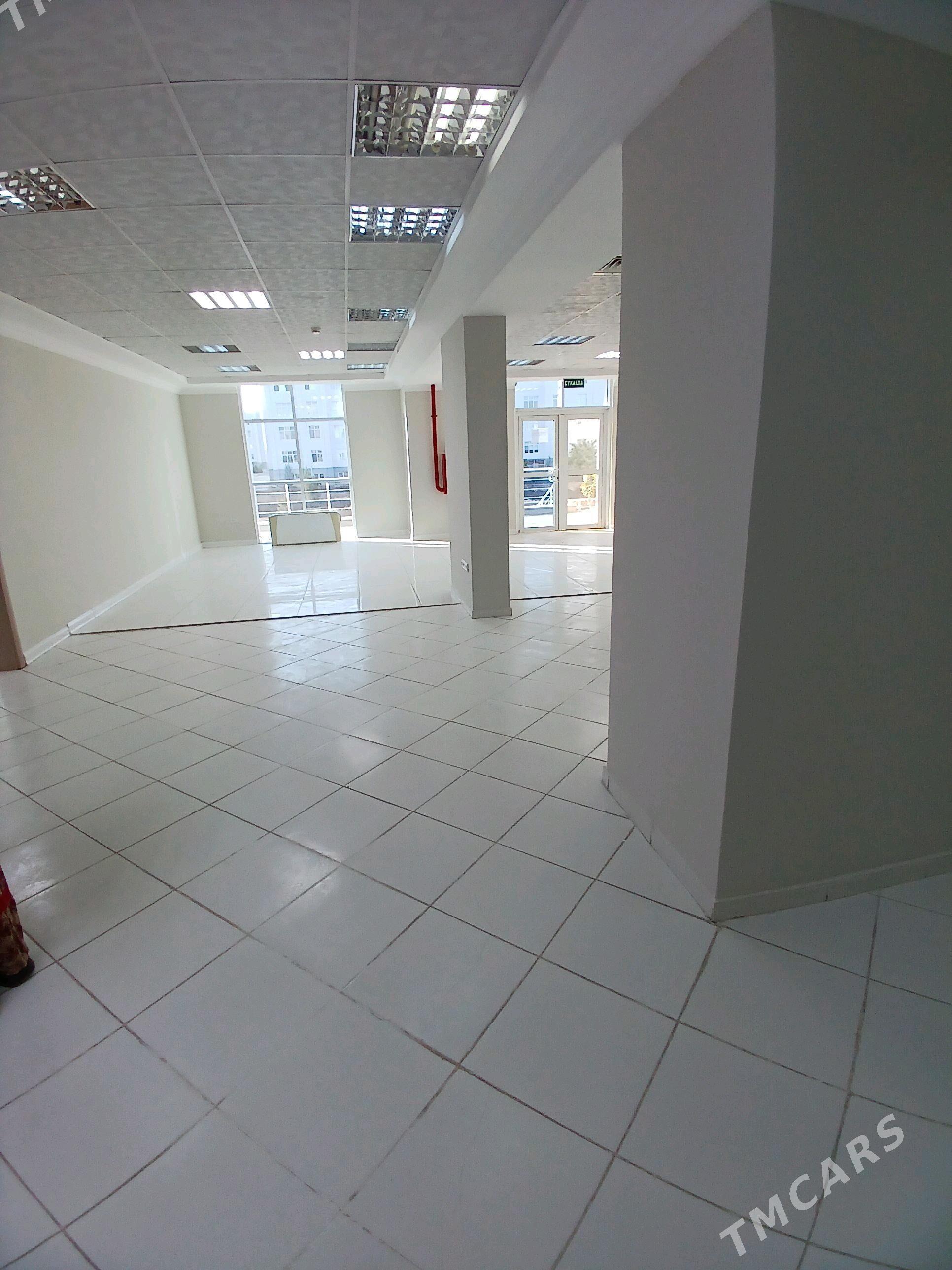 Arenda ofis 4 kom 240 kw - Gurtly - img 4