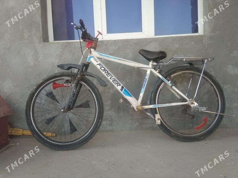 welik  26 - Сакарчага - img 2