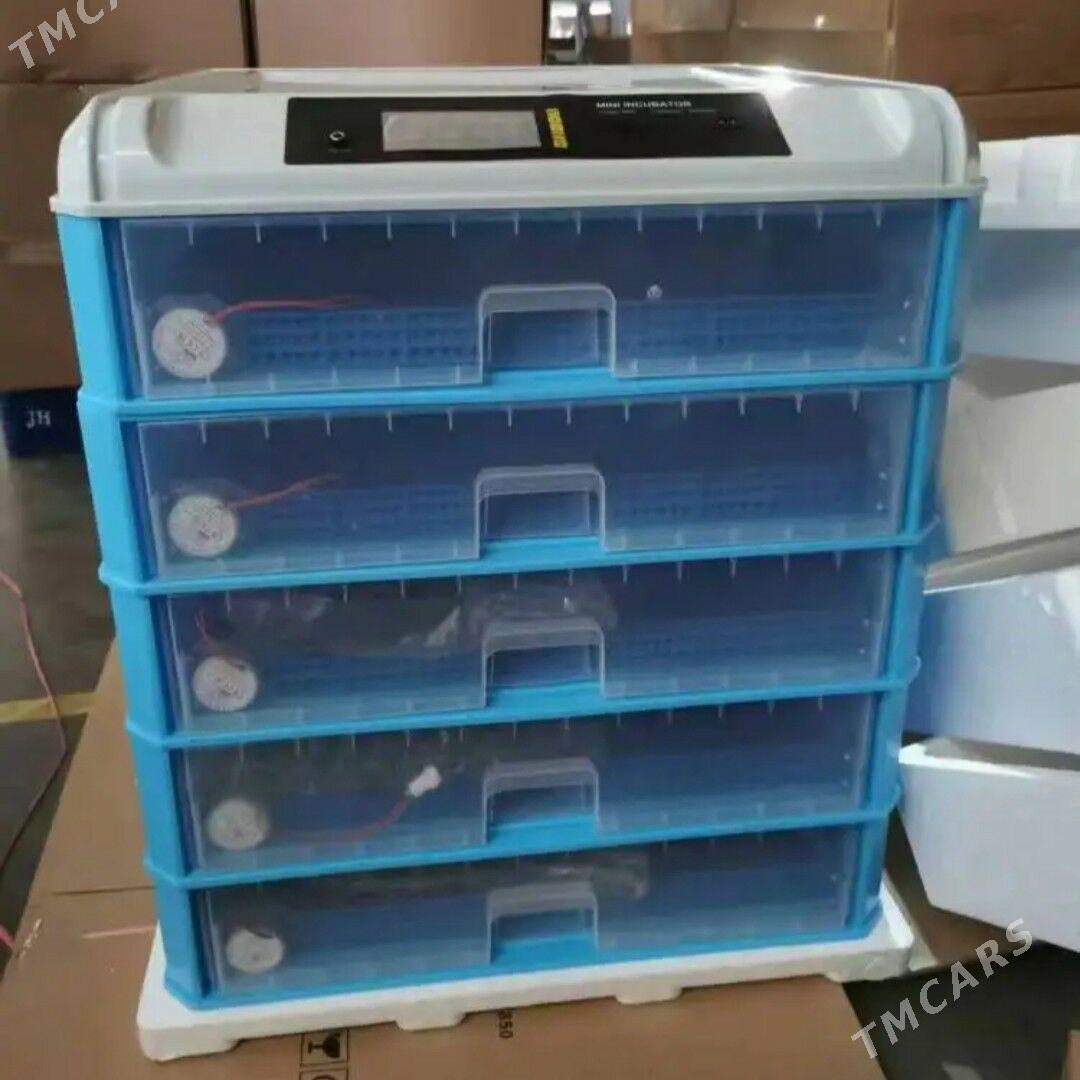 inkobator - Parahat 7 - img 1