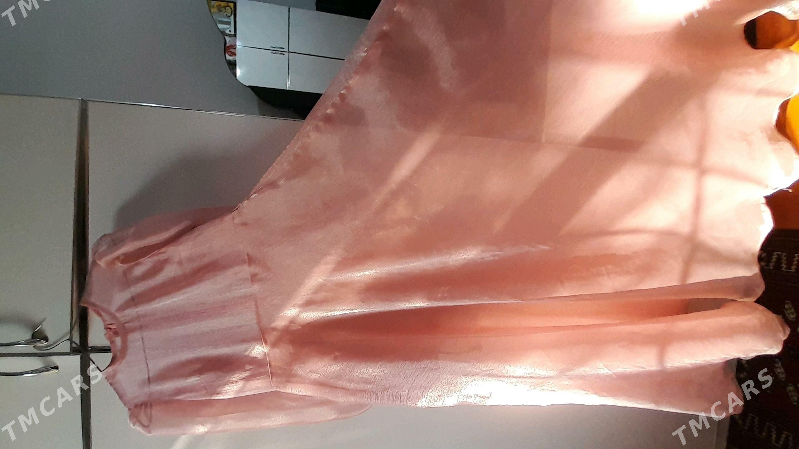 toy koynegi - Ашхабад - img 2