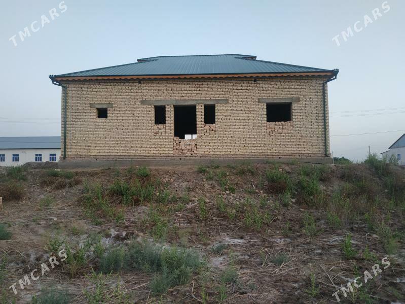 Gyssagly - Akdepe - img 4