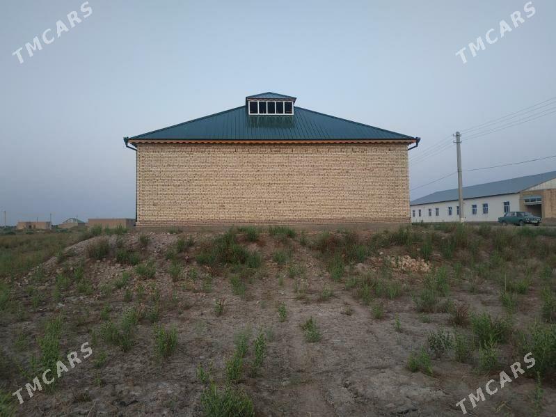 Gyssagly - Akdepe - img 3