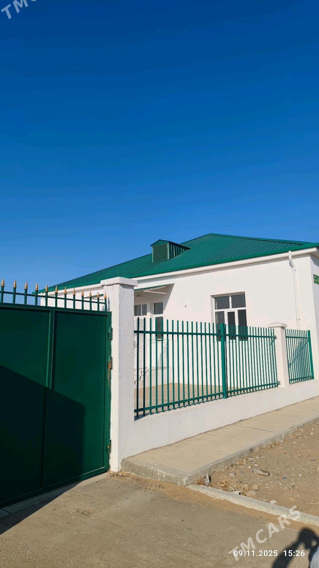 kor cay 4 komnt pulan - Änew - img 1