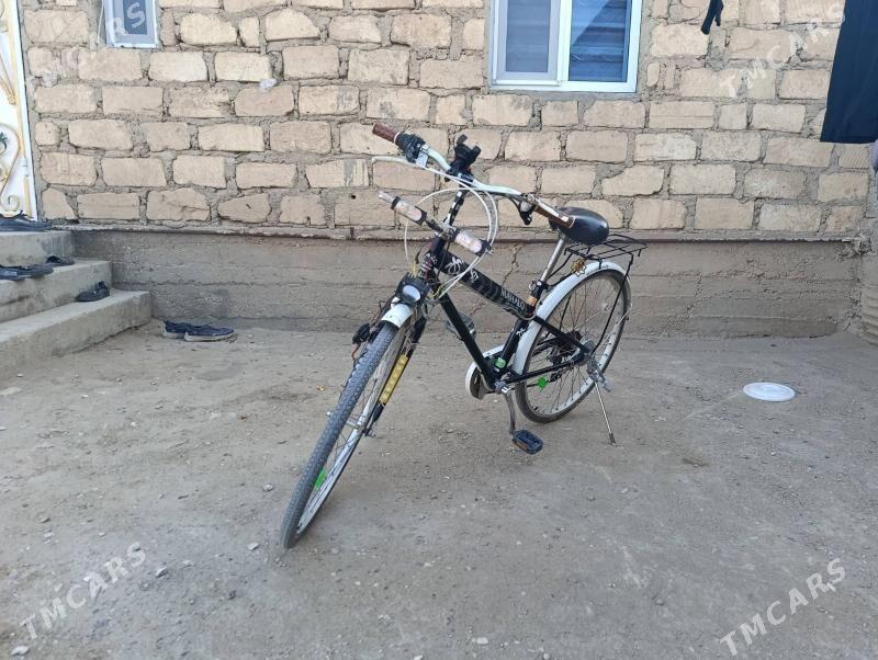 velik - Гумдаг - img 3