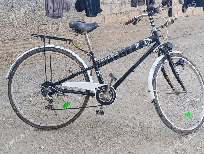 velik - Гумдаг - img 4