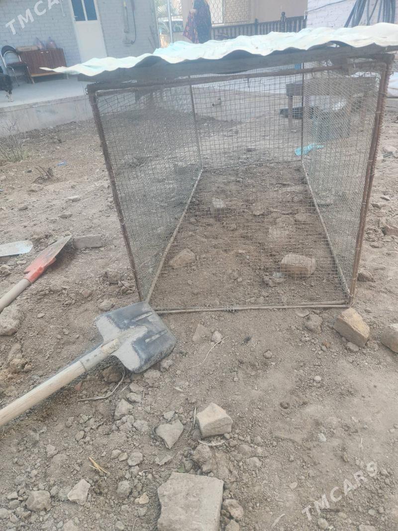 towuk ketek - Sakar - img 1