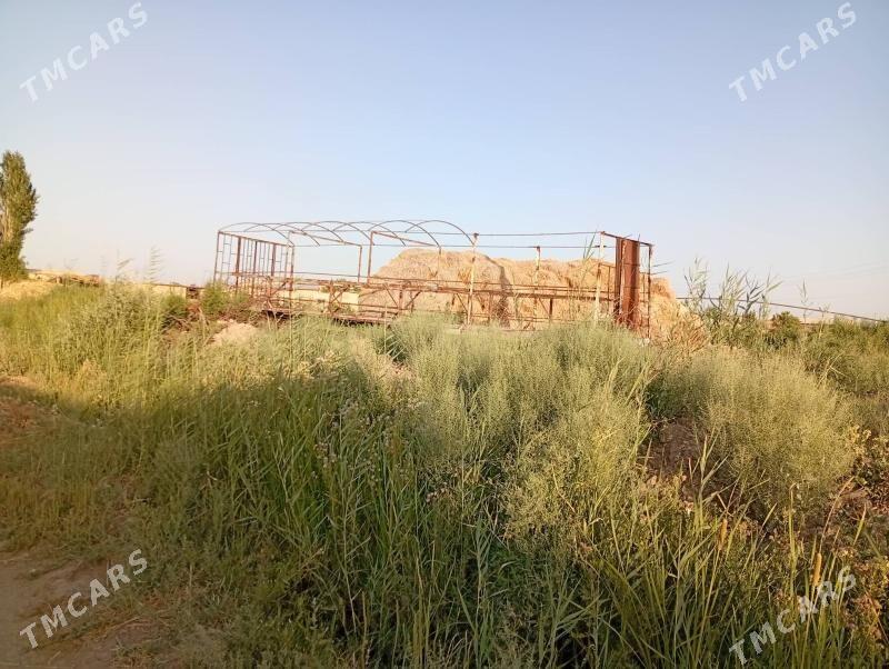 Ary teleska - Dänew - img 3