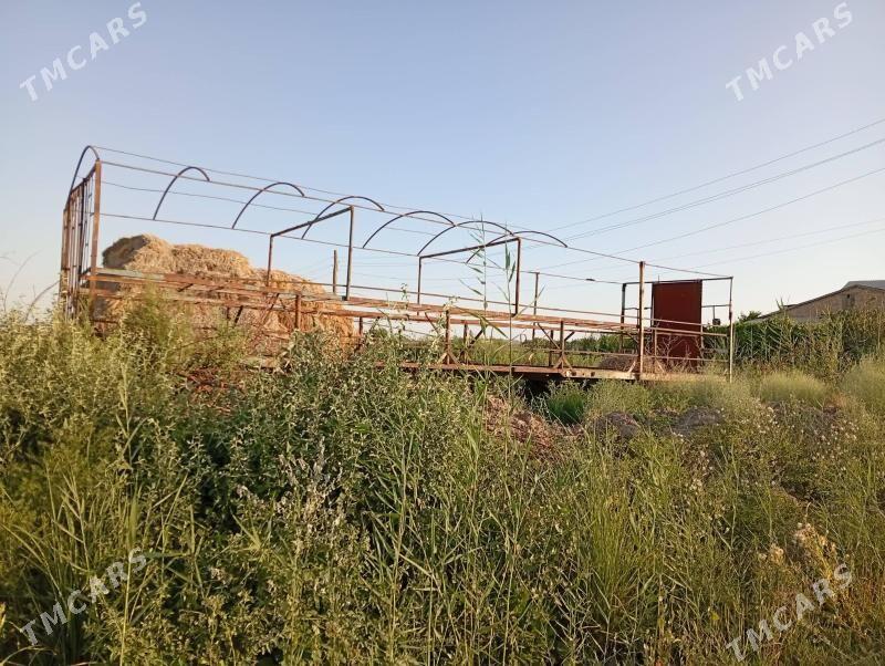 Ary teleska - Dänew - img 2