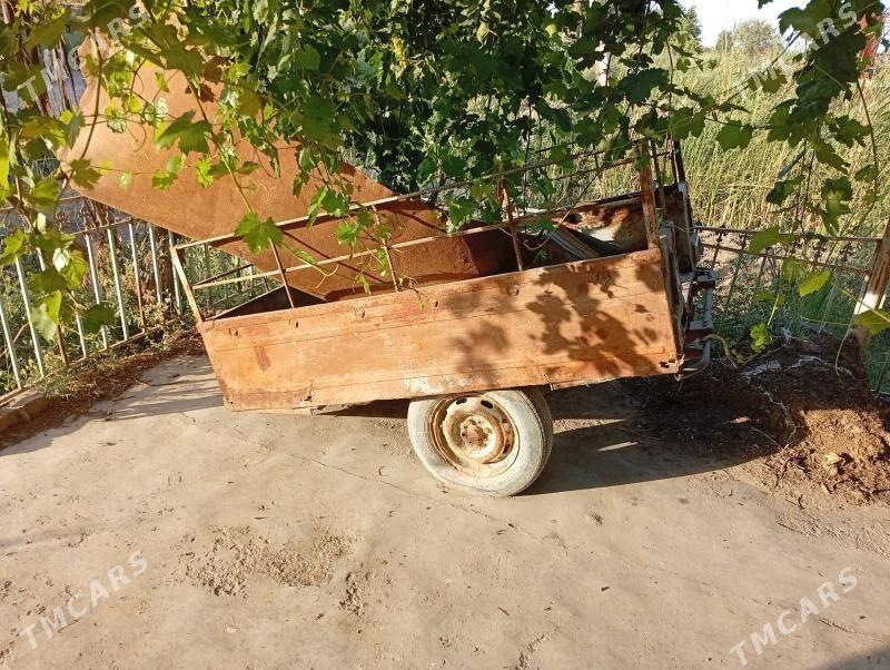 Tacki - Dänew - img 2