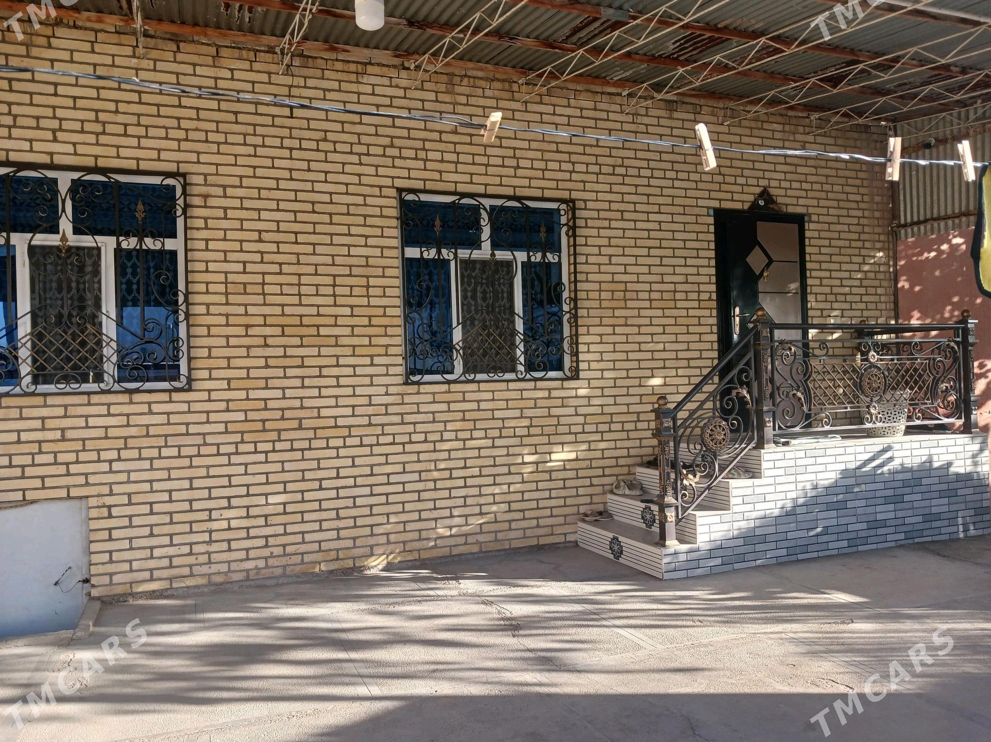 Satlyk jay  - Mary - img 2