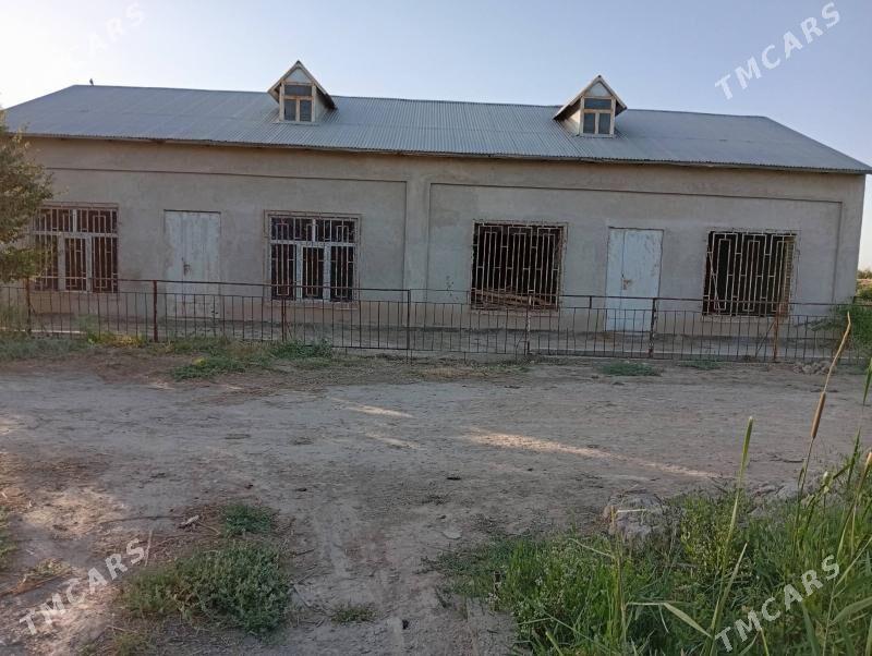 Satlyk magazin - Dänew - img 3