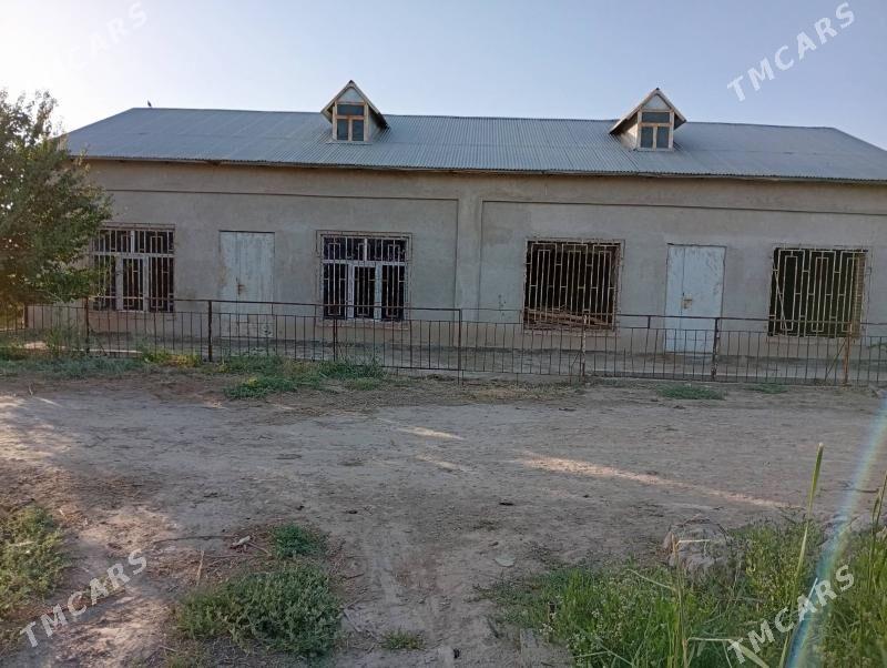 Satlyk magazin - Dänew - img 4