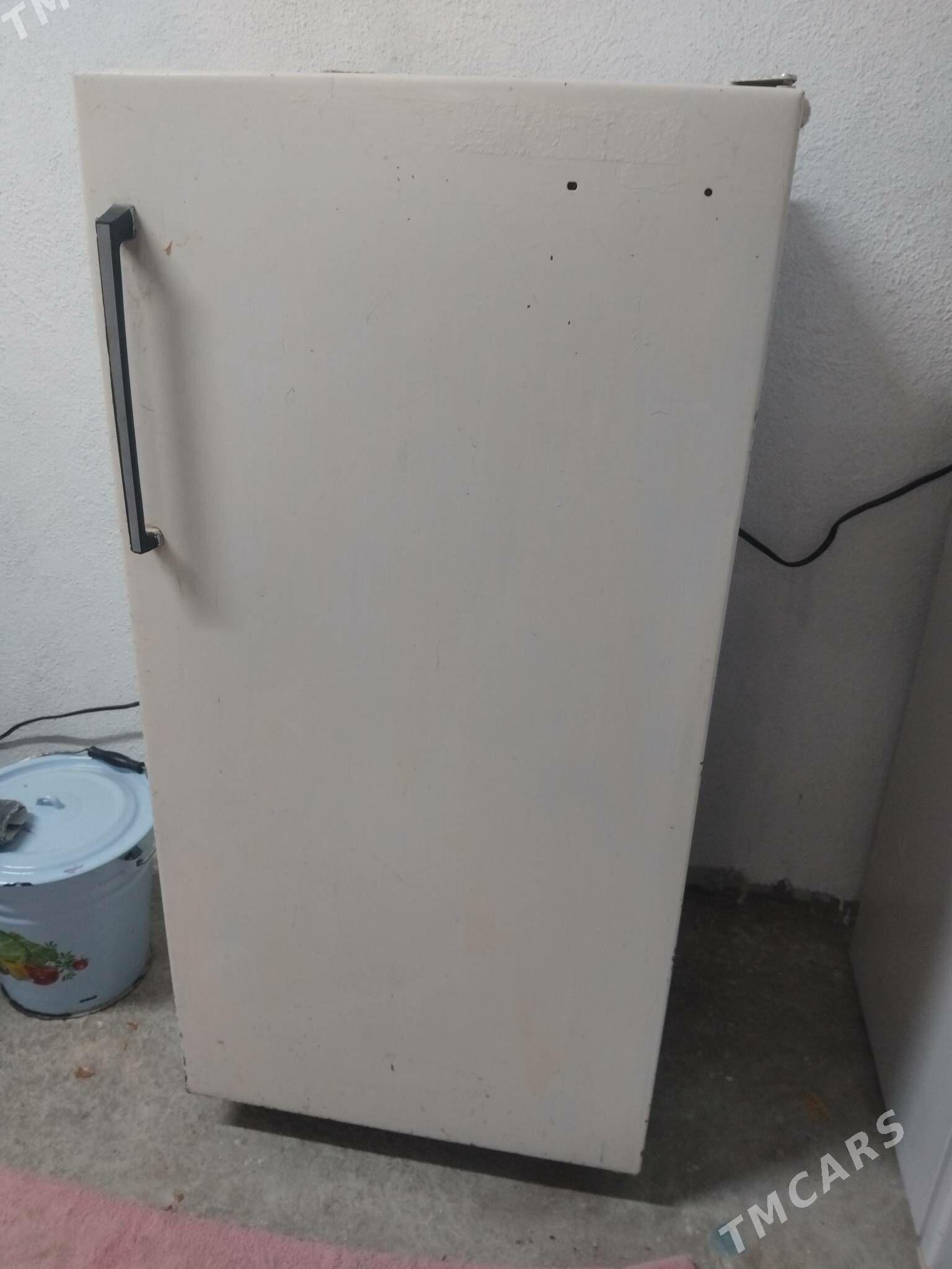 holodinik - Бекреве - img 2