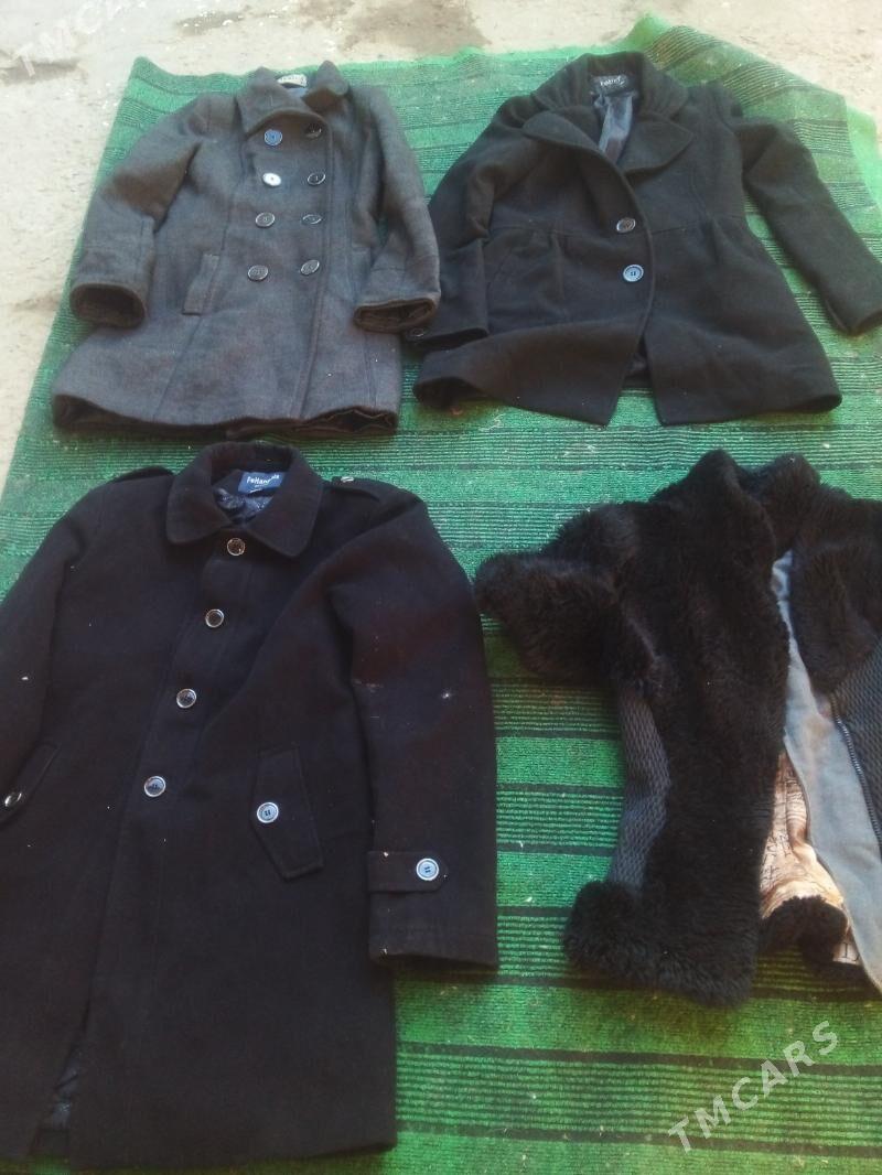 эшиклар - Daşoguz - img 4