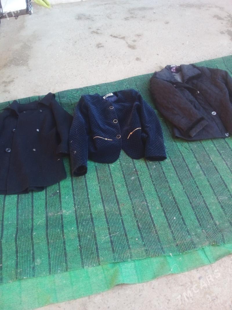 эшиклар - Daşoguz - img 5