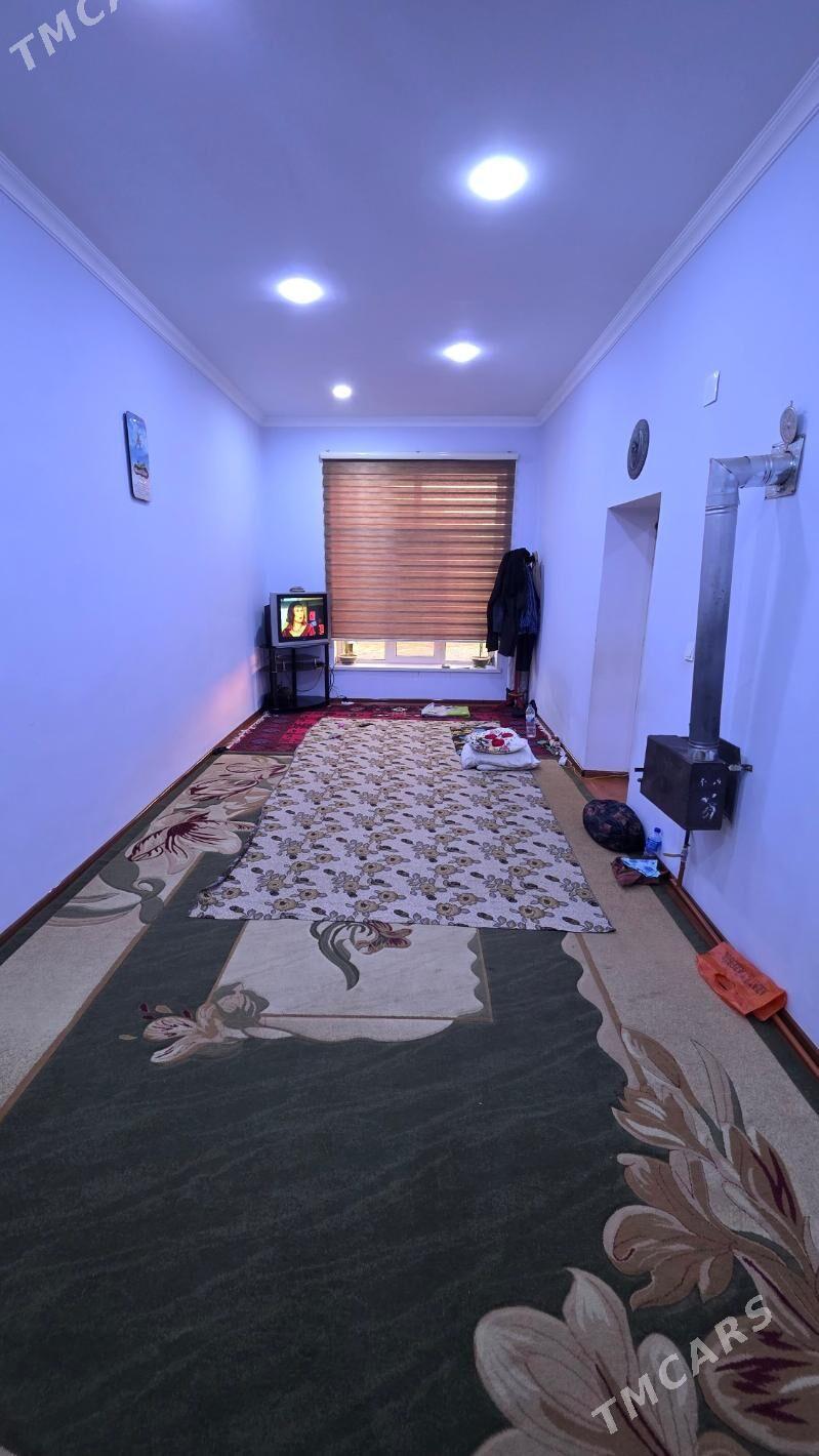 Satlyk jay - Mary - img 3