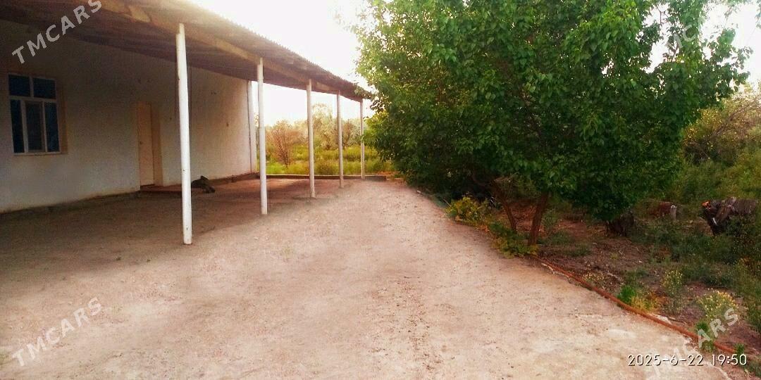 PLAN JAÝ - Gubadag - img 2