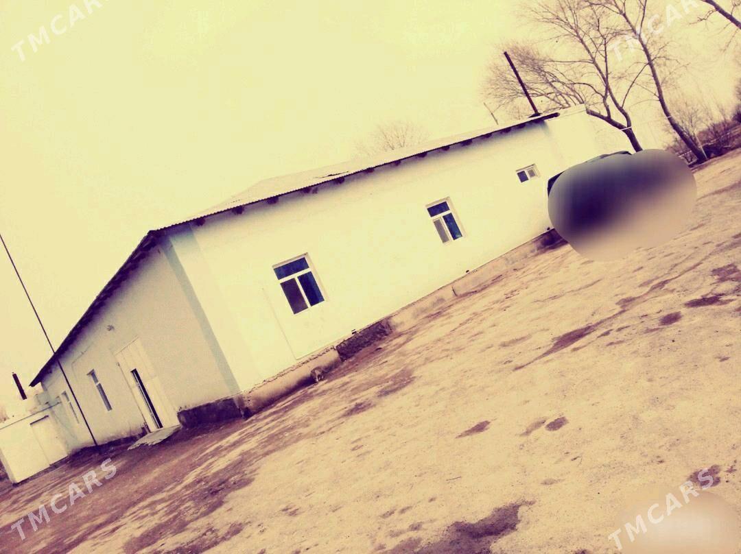 PLAN JAÝ - Gubadag - img 4