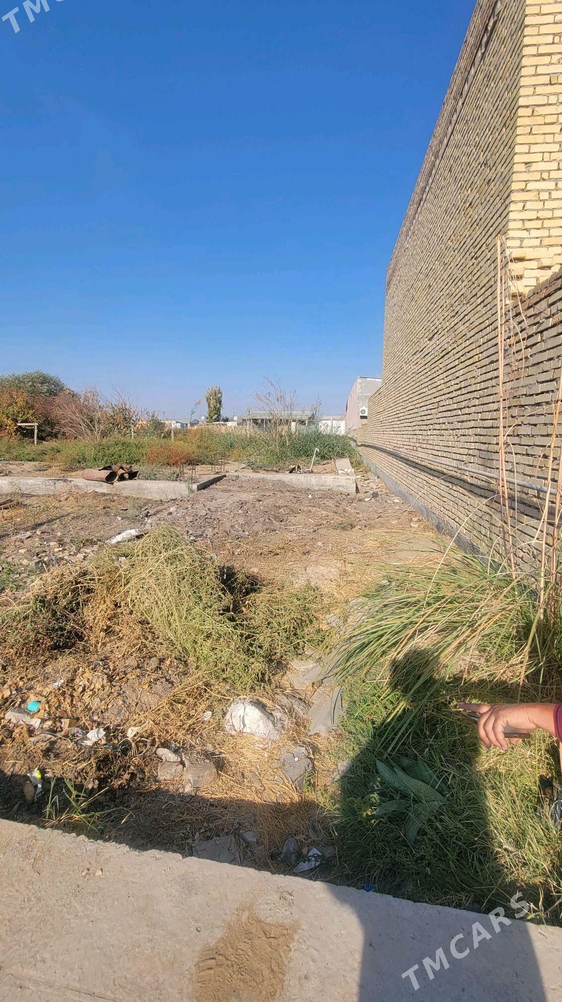 Ayraport daca - Türkmenabat - img 2