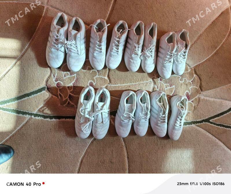 Krasowkalr - Gurtly - img 1