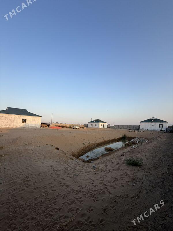 9 kamisar howly - Ak bugdaý etraby - img 3