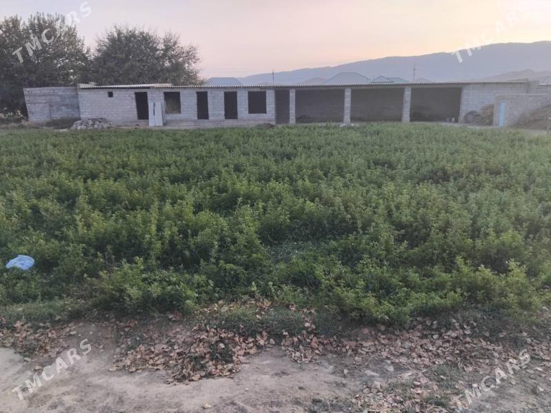 ýorunja - Бахарден - img 2