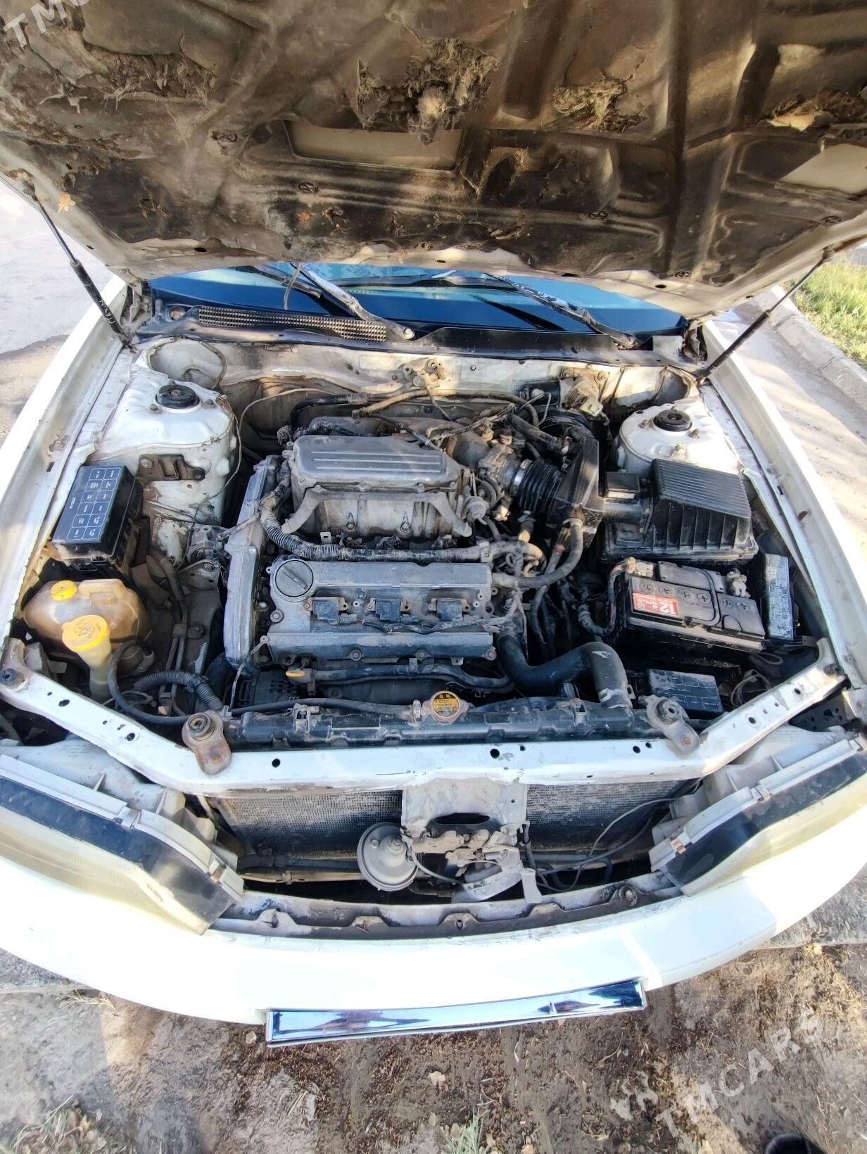 Nissan Cefiro 1995 - 30 000 TMT - Türkmenabat - img 4