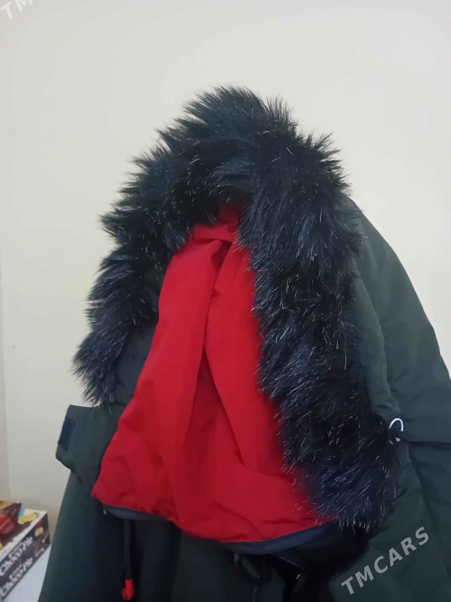 Uzyn kurtga - 11 mkr - img 4